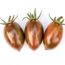 Томат Сливки-оливки F1