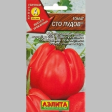 Томат Сто пудов