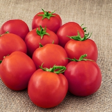 Томат Запуняка