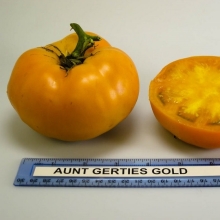 Томат Золотой Тёти Герти (большой пакет)