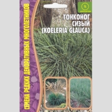 Тонконог сизый