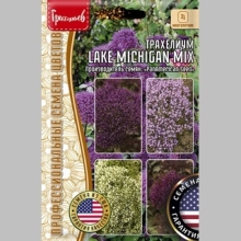 Трахелиум Lake Michigan Mix (большой пакет)