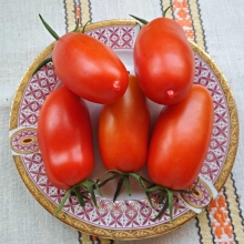 Томат Царское искушение F1