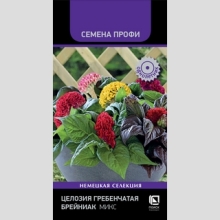 Целозия Брейниак Микс гребенчатая