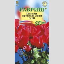 Цикламен Габи персидский