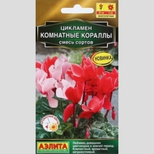 Цикламен Комнатные кораллы смесь