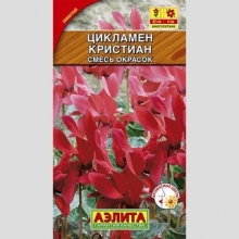 Цикламен Кристиан персидский смесь