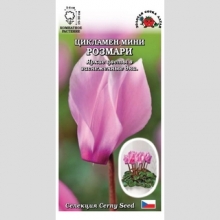 Цикламен мини Розмари