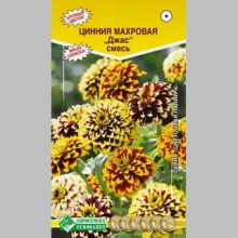 Цинния Джас