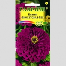 Цинния Фиолетовая фея