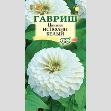 Цинния Исполин белый