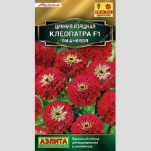 Цинния Клеопатра F1 вишневая