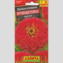 Цинния Крупноцветковая красная