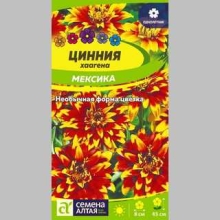 Цинния Мексика хаагена