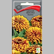 Цинния Мексика Ольмека