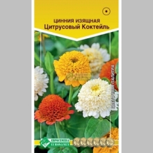 Цинния Цитрусовый Коктейль