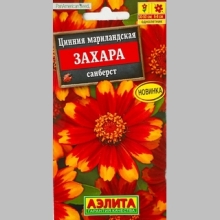 Цинния Захара Санберст