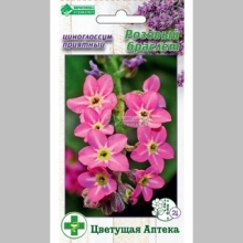 Циноглоссум Розовый браслет