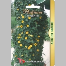 Тунбергия Сюзи F1 Еллоу