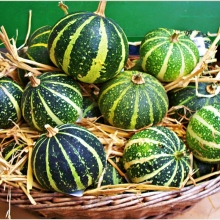 Тыква Боцман