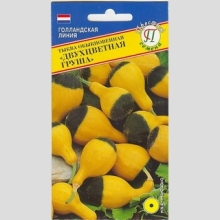 Тыква декоративная Двухцветная груша