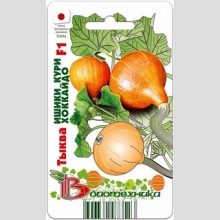 Тыква Ишики Кури Хоккайдо F1