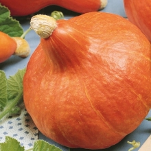 Тыква Ишики Кури Хоккайдо F1