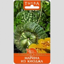 Тыква Марина из Киоджа