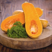 Тыква Алладин F1