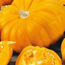 Тыква Парижская Золотая