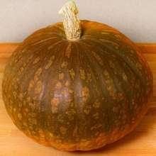 Тыква Шоколадная Москвичка