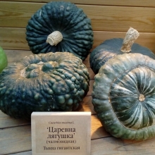 Тыква Царевна лягушка