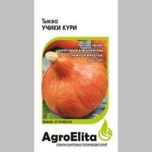 Тыква Учики Кури