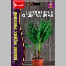 Вашингтония Жасминовый аромат нитчатая (большой пакет)