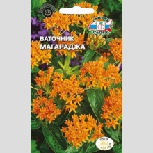 Ваточник Магараджа