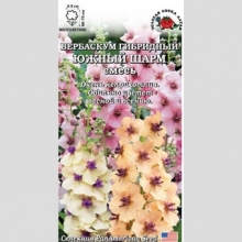 Вербаскум гибридный Южный шарм