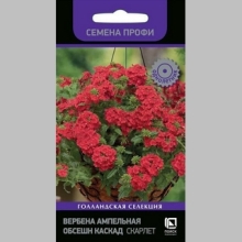 Вербена Обсешн Каскад Скарлет (Семена Профи)