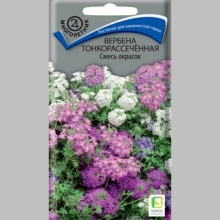 Вербена тонкорассеченная Смесь окрасок