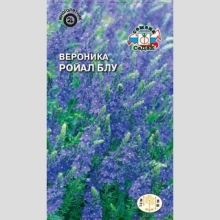 Вероника Ройал Блу