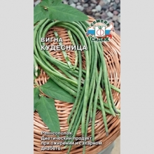 Вигна Кудесница