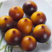 Томат Фиолетовая Галактика