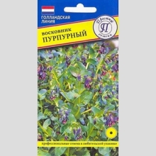 Восковник пурпурный