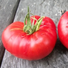 Томат Минусинский яблочный