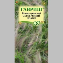 Ячмень гривастый Серебряный локон