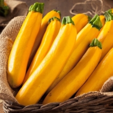 Кабачок Янтарное чудо F1