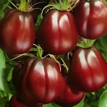 Томат Японский трюфель черный