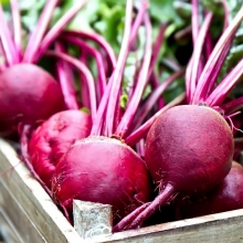 Свекла Здоровый Румянец