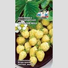 Земляника Белоснежка (мелкоплодная)