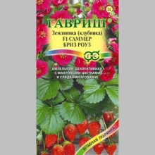 Земляника Саммер Бриз Роуз F1 (клубника)