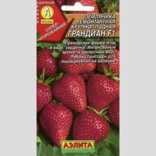 Земляника Грандиан F1